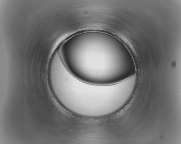 X0000090761085200707201049