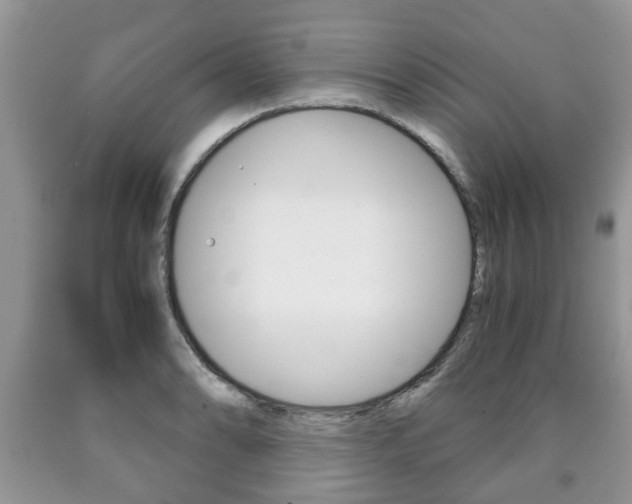 X0000090761086200707201049