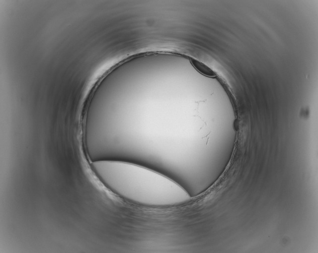 X0000090761088200707201049