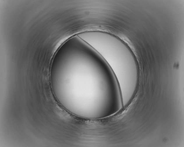 X0000090761089200707201048
