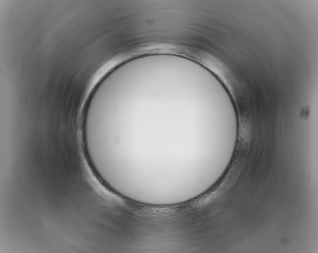 X0000090761090200707201048