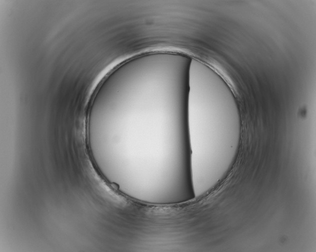 X0000090761092200707201048