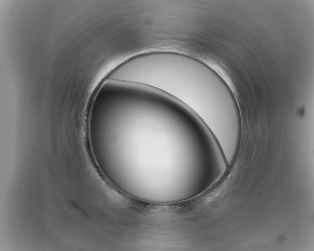 X0000090761093200707201048