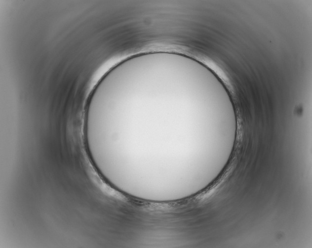 X0000090761094200707201048