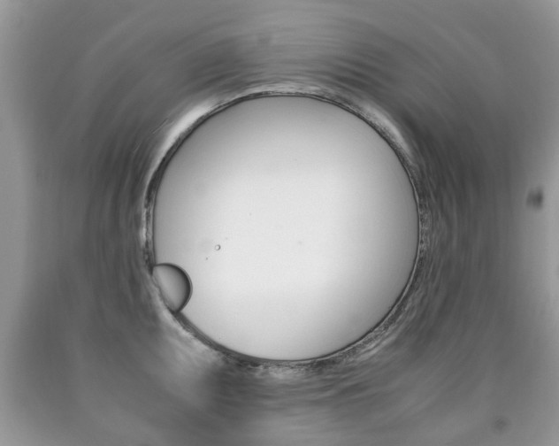 X0000090761095200707201048
