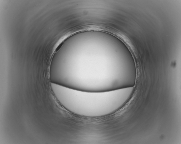 X0000090761097200707201048