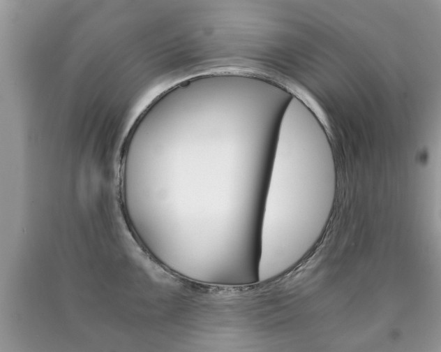 X0000090761099200707201048