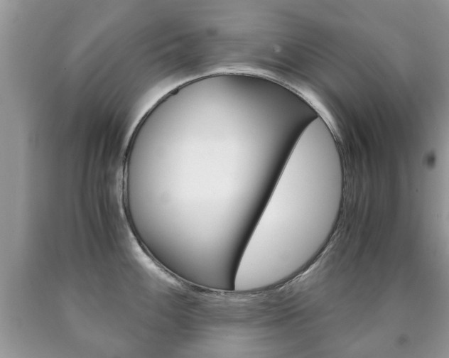 X0000090761100200707201048