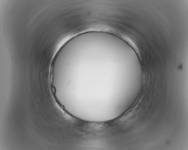 X0000090761103200707201048