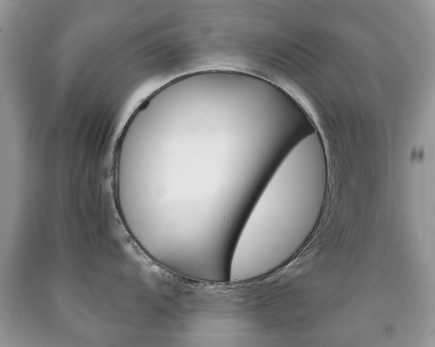 X0000090761104200707201048