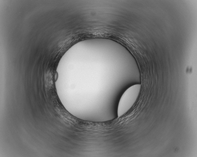 X0000090761106200707201048