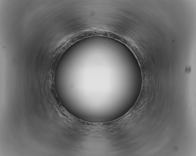 X0000090761110200707201048