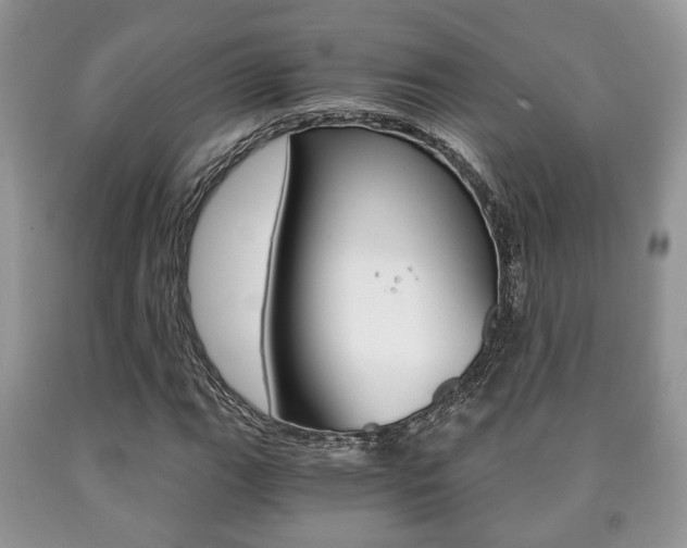 X0000090761111200707201048