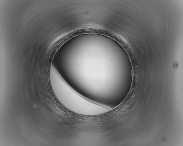 X0000090761112200707201048