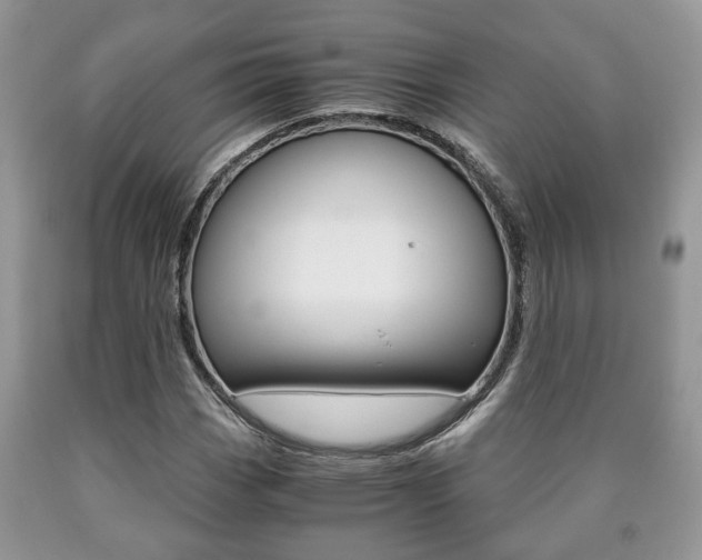 X0000090761113200707201048