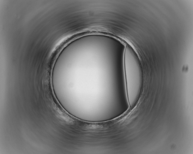 X0000090761115200707201048