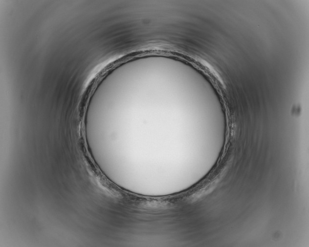 X0000090761117200707201048