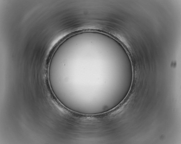 X0000090761119200707201048
