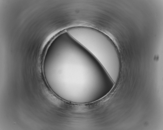 X0000090761120200707201048