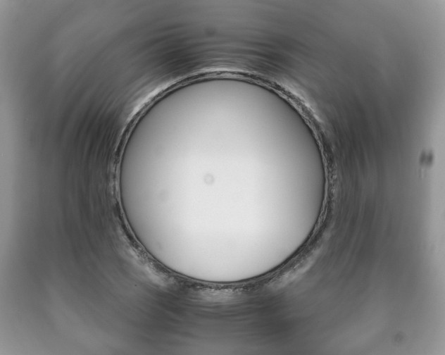 X0000090761121200707201048