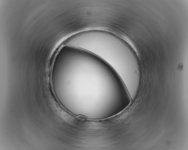X0000090761124200707201048