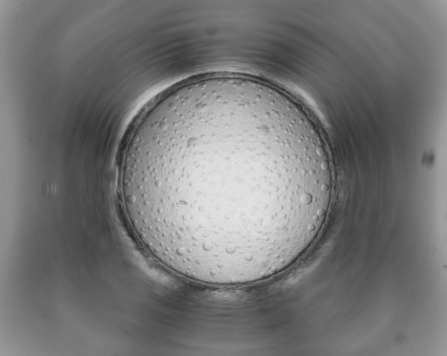 X0000090761125200707201048