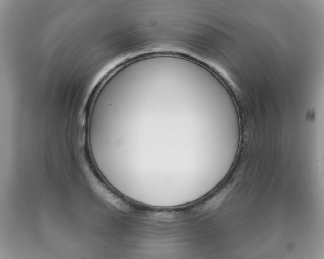 X0000090761126200707201048
