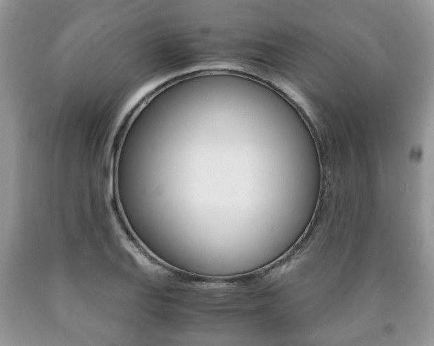 X0000090761127200707201048
