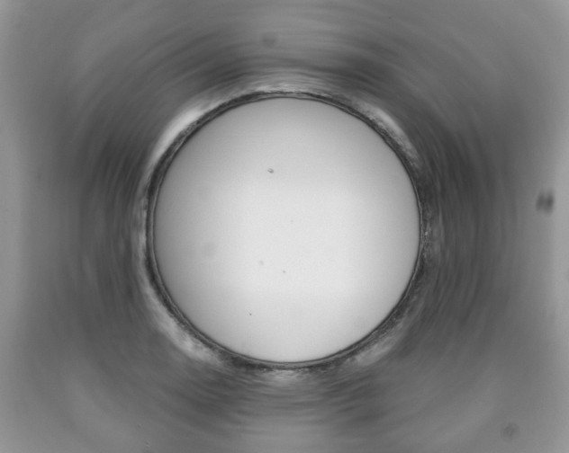 X0000090761130200707201048