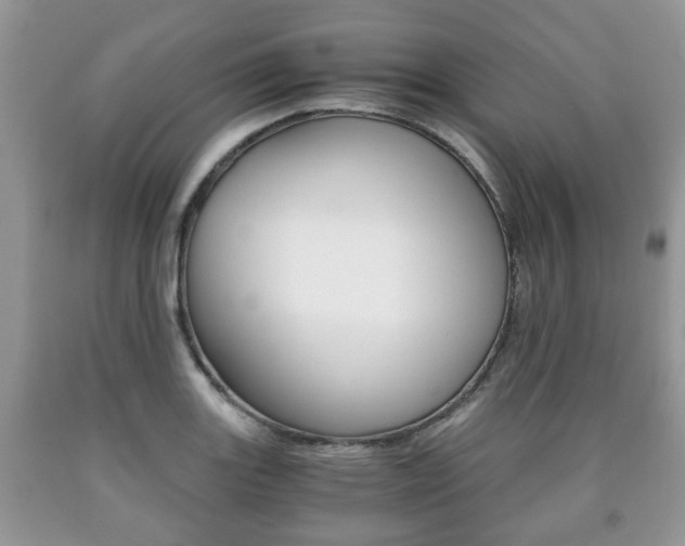 X0000090761131200707201048