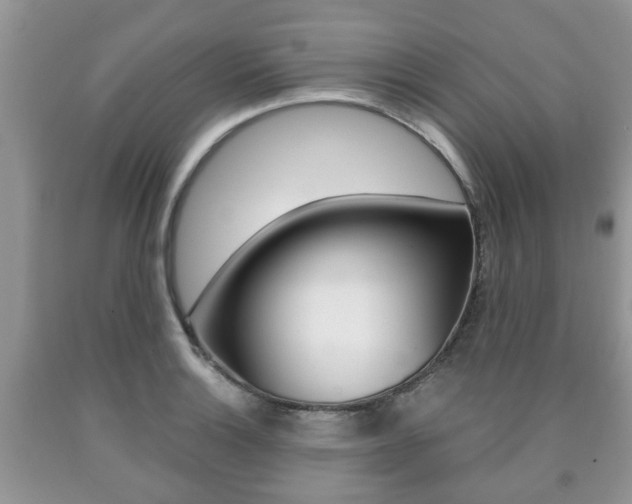 X0000090761132200707201048
