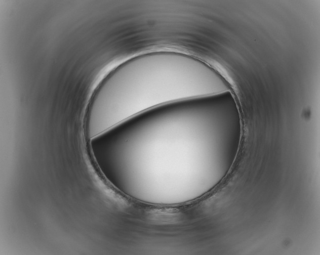 X0000090761133200707201048