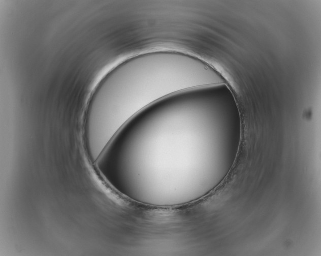 X0000090761134200707201048