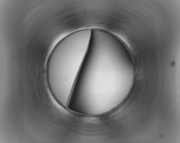 X0000090761135200707201048