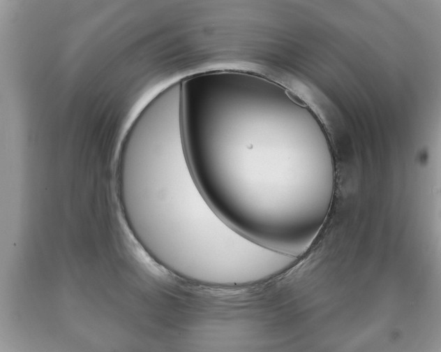 X0000090761140200707201048