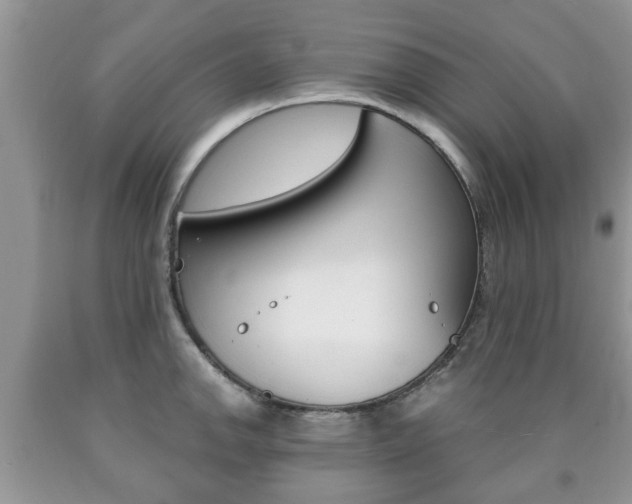 X0000090761142200707201048