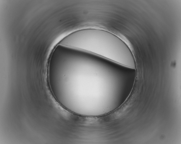 X0000090761144200707201048