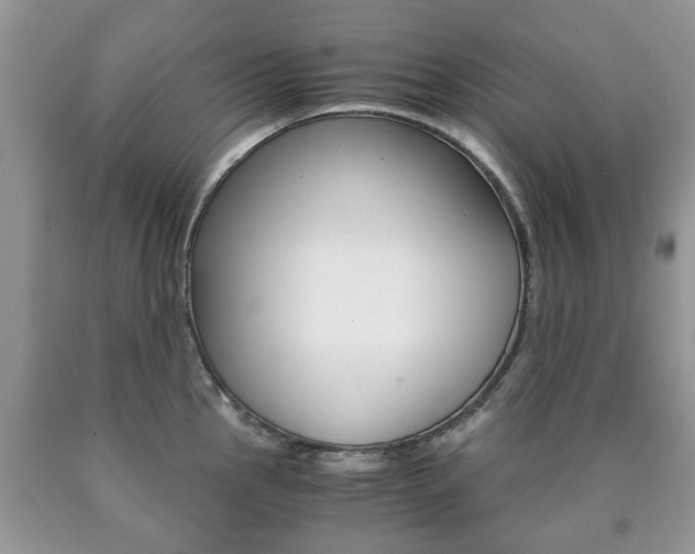 X0000090761145200707201048