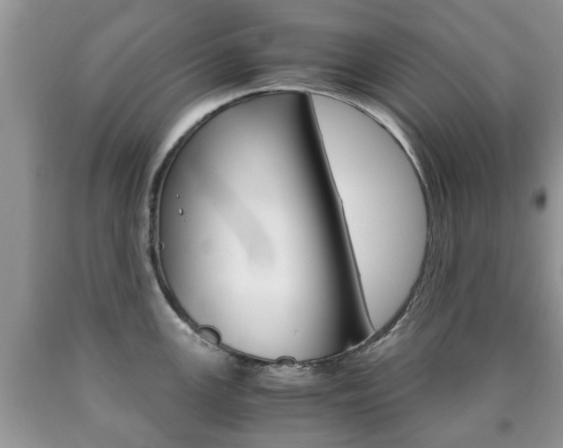 X0000090761147200707201048
