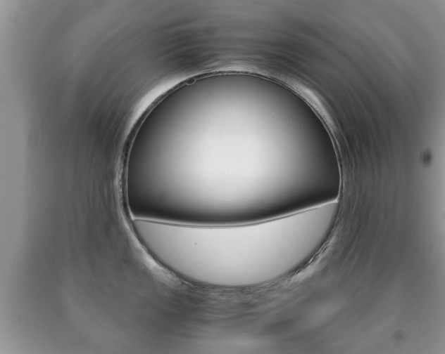 X0000090761149200707201048