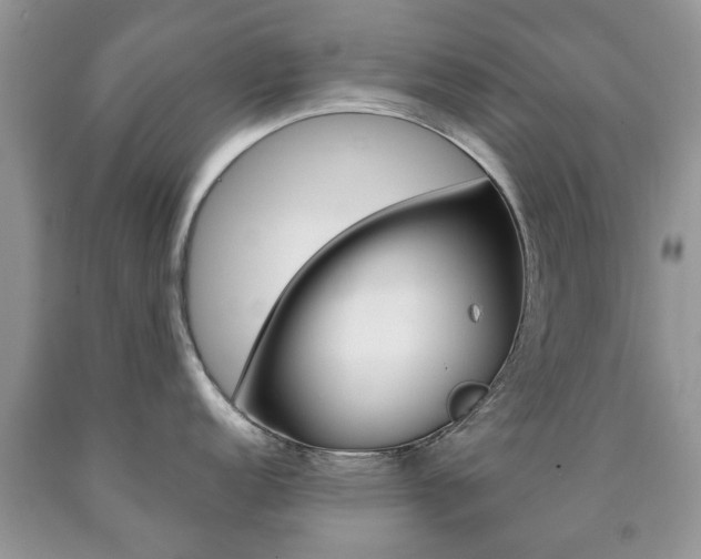 X0000090761152200707201048