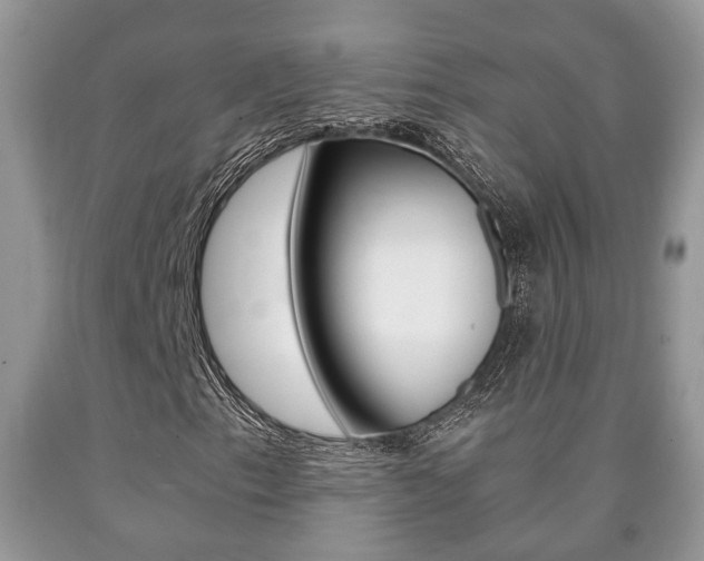 X0000090761153200707201048