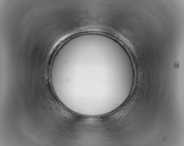 X0000090761166200707201047