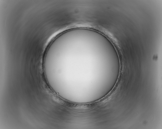 X0000090761174200707201047