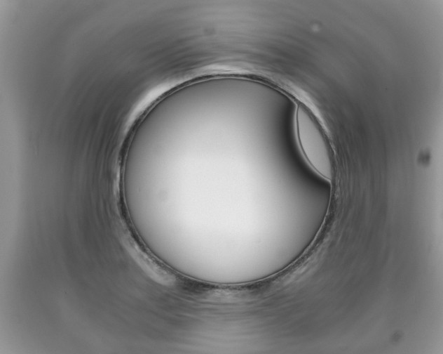X0000090761179200707201047