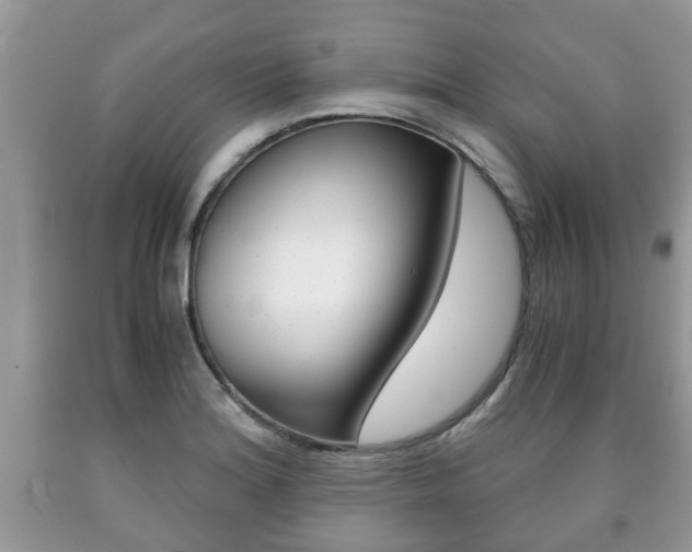 X0000090761180200707201047