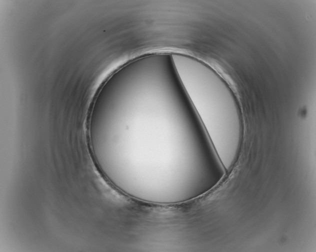 X0000090761189200707201047