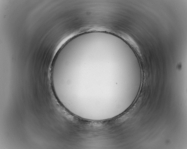 X0000090761190200707201047
