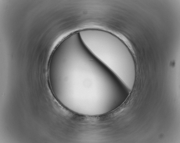 X0000090761191200707201047