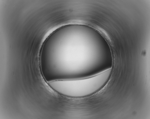 X0000090761192200707201047